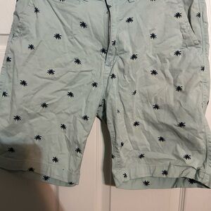 Free‎ Planet Light Blue Palm Print Shorts